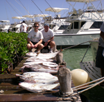 first amberjack